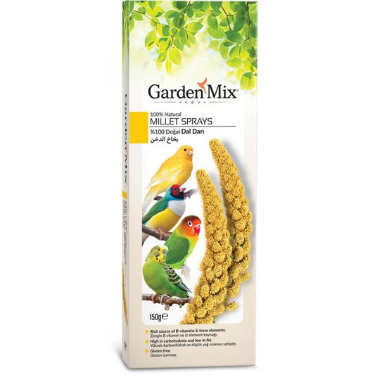Garden Mix Platin Sarı Dal Darı - 150 Gr